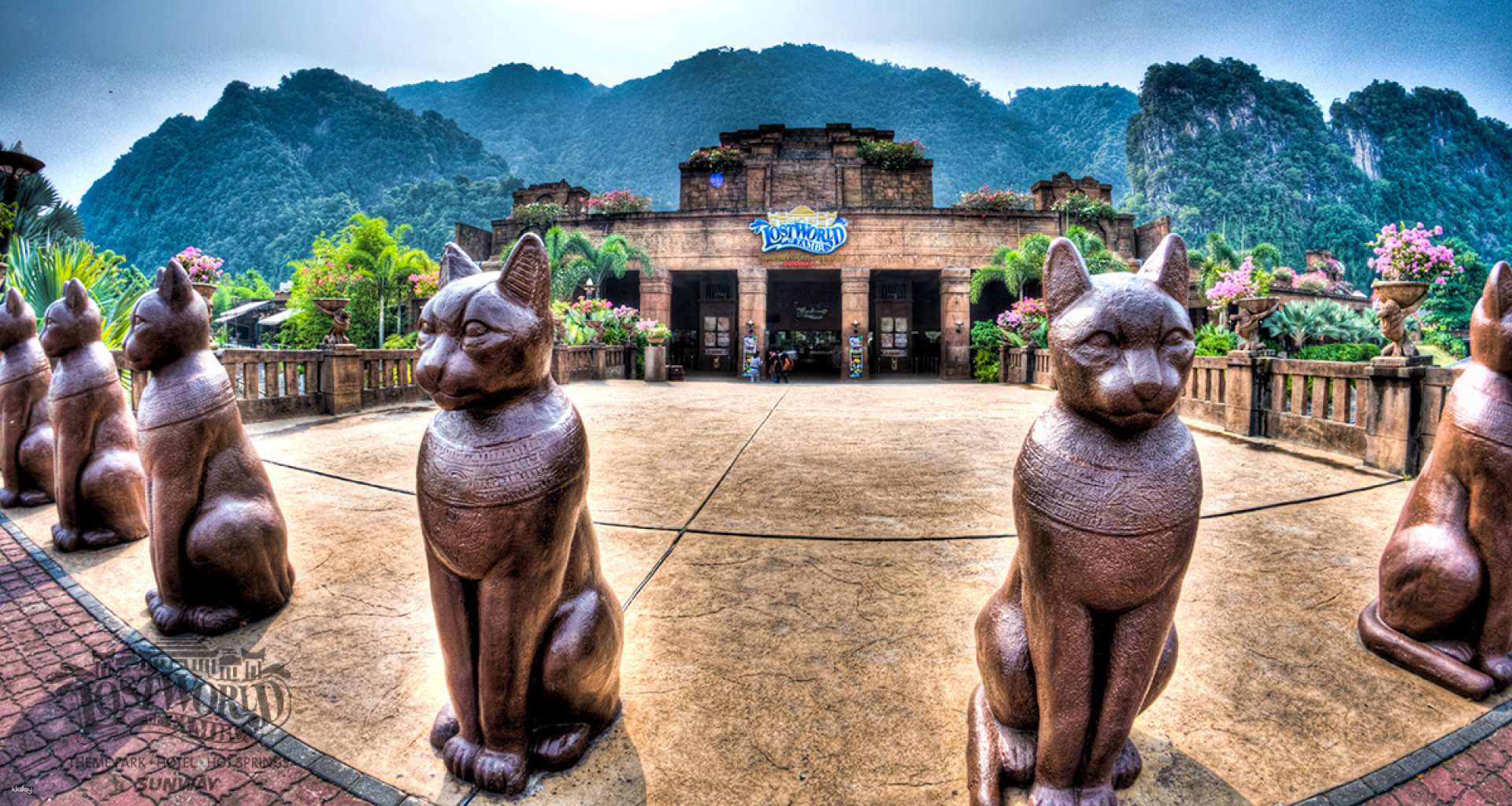 adventure cove tickets